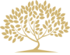 Akenes Consulting Logo