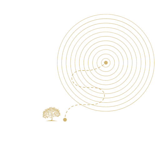 3-COACHING
